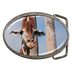 Cute Giraffe Belt Buckle (oval)