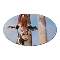 Cute Giraffe Magnet (oval)