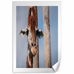 Cute Giraffe Canvas 20  X 30  (unframed) by AnimalLover