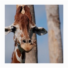 Cute Giraffe Glasses Cloth (medium) by AnimalLover