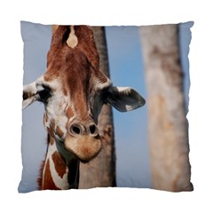 Cute Giraffe Cushion Case (single Sided)  by AnimalLover