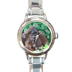 Orangutan Family Round Italian Charm Watch by AnimalLover