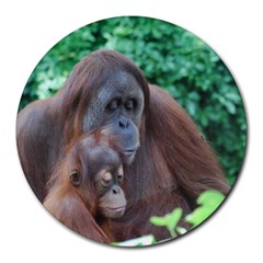 Orangutan Family 8  Mouse Pad (round) by AnimalLover