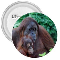 Orangutan Family 3  Button