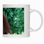 Orangutan Family White Coffee Mug Right