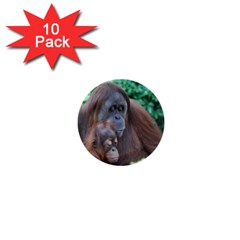 Orangutan Family 1  Mini Button (10 Pack)