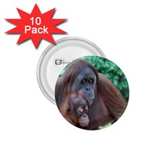 Orangutan Family 1 75  Button (10 Pack) by AnimalLover