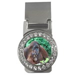 Orangutan Family Money Clip (CZ) Front