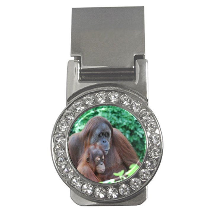 Orangutan Family Money Clip (CZ)