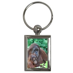 Orangutan Family Key Chain (rectangle) by AnimalLover