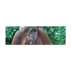 Orangutan Family Bumper Sticker by AnimalLover