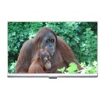 Orangutan Family Business Card Holder Front