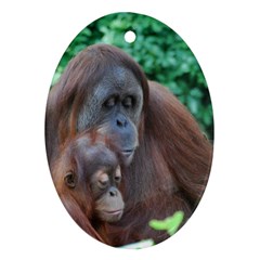 Orangutan Family Oval Ornament (two Sides)