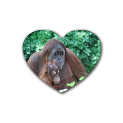 Orangutan Family Drink Coasters 4 Pack (heart) 