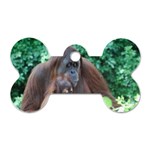 Orangutan Family Dog Tag Bone (Two Sided) Front