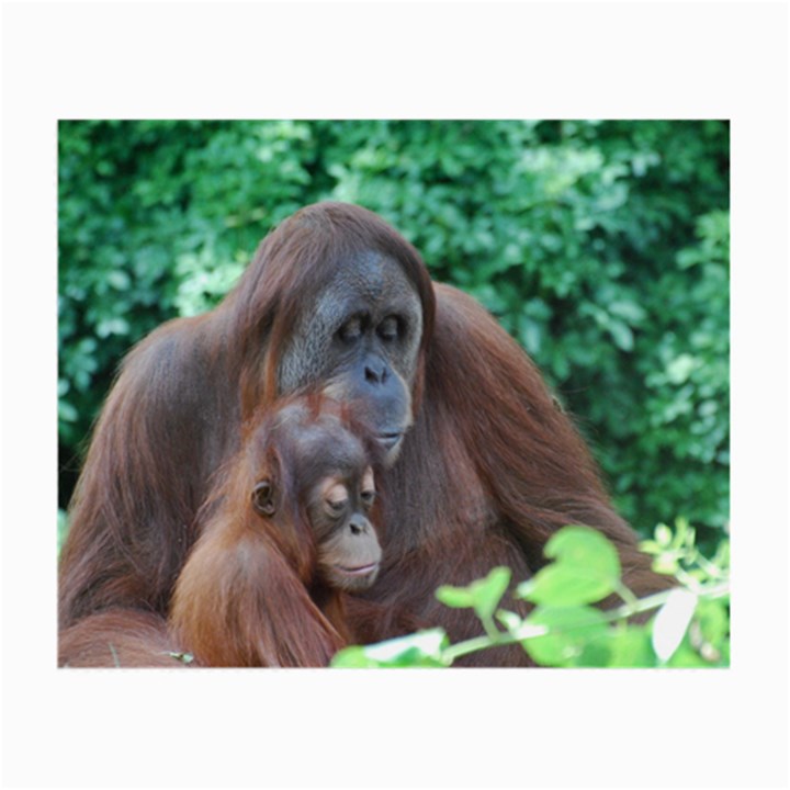 Orangutan Family Glasses Cloth (Small, Two Sided)