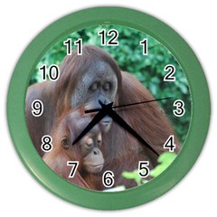 Orangutan Family Wall Clock (color)