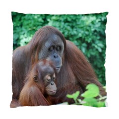 Orangutan Family Cushion Case (two Sided)  by AnimalLover