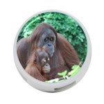 Orangutan Family 4-Port USB Hub (One Side) Front