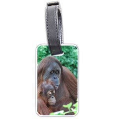 Orangutan Family Luggage Tag (one Side) by AnimalLover