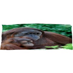 Orangutan Family Samsung Galaxy Sl I9003 Hardshell Case by AnimalLover