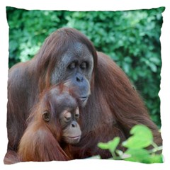 Orangutan Family Large Cushion Case (single Sided) 