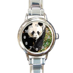 Giant Panda Round Italian Charm Watch