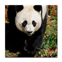 Giant Panda Ceramic Tile by AnimalLover