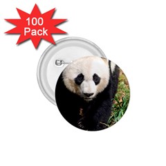 Giant Panda 1 75  Button (100 Pack) by AnimalLover