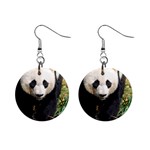 Giant Panda Mini Button Earrings Front