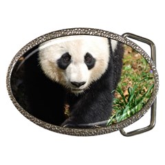 Giant Panda Belt Buckle (oval)