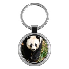 Giant Panda Key Chain (round)