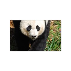 Giant Panda Sticker 100 Pack (rectangle) by AnimalLover