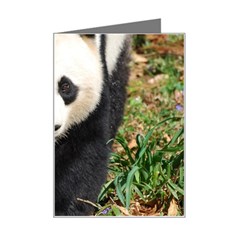 Giant Panda Mini Greeting Card