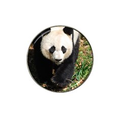 Giant Panda Golf Ball Marker 4 Pack (for Hat Clip) by AnimalLover