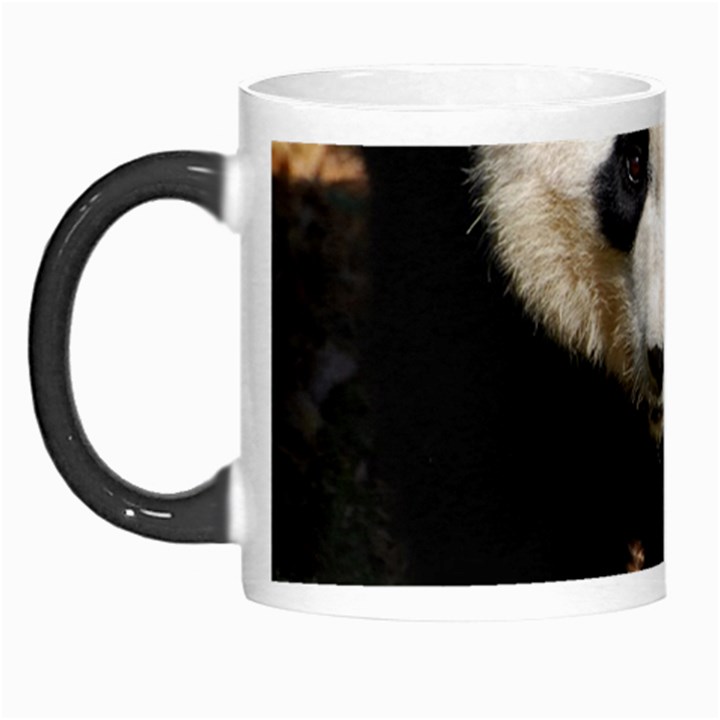 Giant Panda Morph Mug