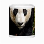 Giant Panda Morph Mug Center