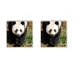 Giant Panda Cufflinks (square)