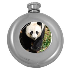 Giant Panda Hip Flask (round) by AnimalLover