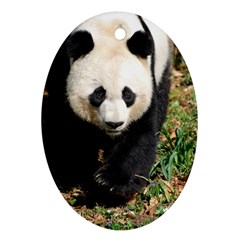 Giant Panda Oval Ornament (two Sides) by AnimalLover