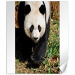 Giant Panda Canvas 20  x 24  (Unframed) 19.57 x23.15  Canvas - 1