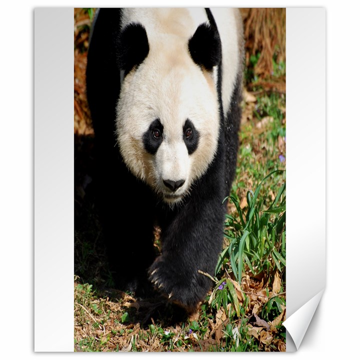 Giant Panda Canvas 20  x 24  (Unframed)