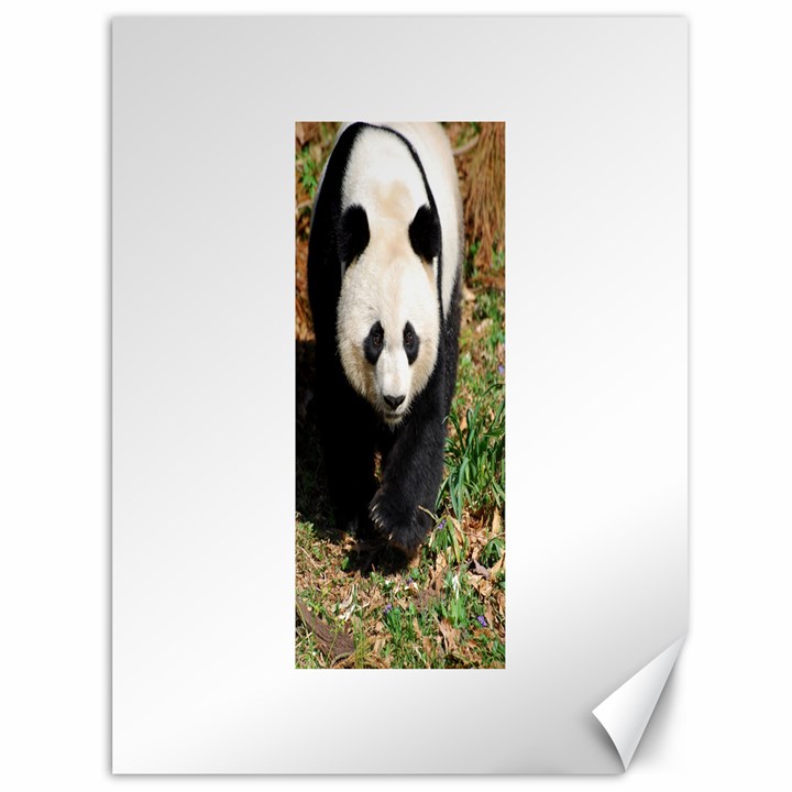 Giant Panda Canvas 36  x 48  (Unframed)