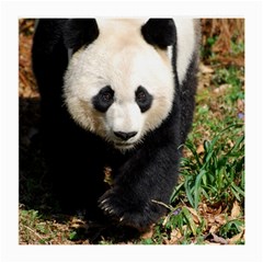 Giant Panda Glasses Cloth (medium, Two Sided) by AnimalLover