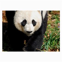 Giant Panda Glasses Cloth (large, Two Sided)