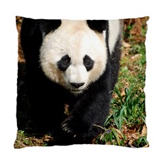 Giant Panda Cushion Case (single Sided) 