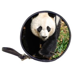 Giant Panda Cd Wallet