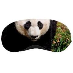 Giant Panda Sleeping Mask