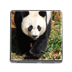 Giant Panda Memory Card Reader With Storage (square)