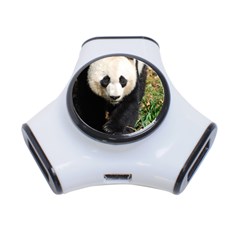 Giant Panda 3 Port Usb Hub